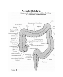 Kopfschmerzen beseitigen; Neurodermitis beseitigen; Colon-hydro-für-zuhause