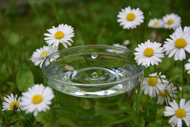 Colon-Hydro-Therapie: Ablauf einer Sitzung beim ersten Mal